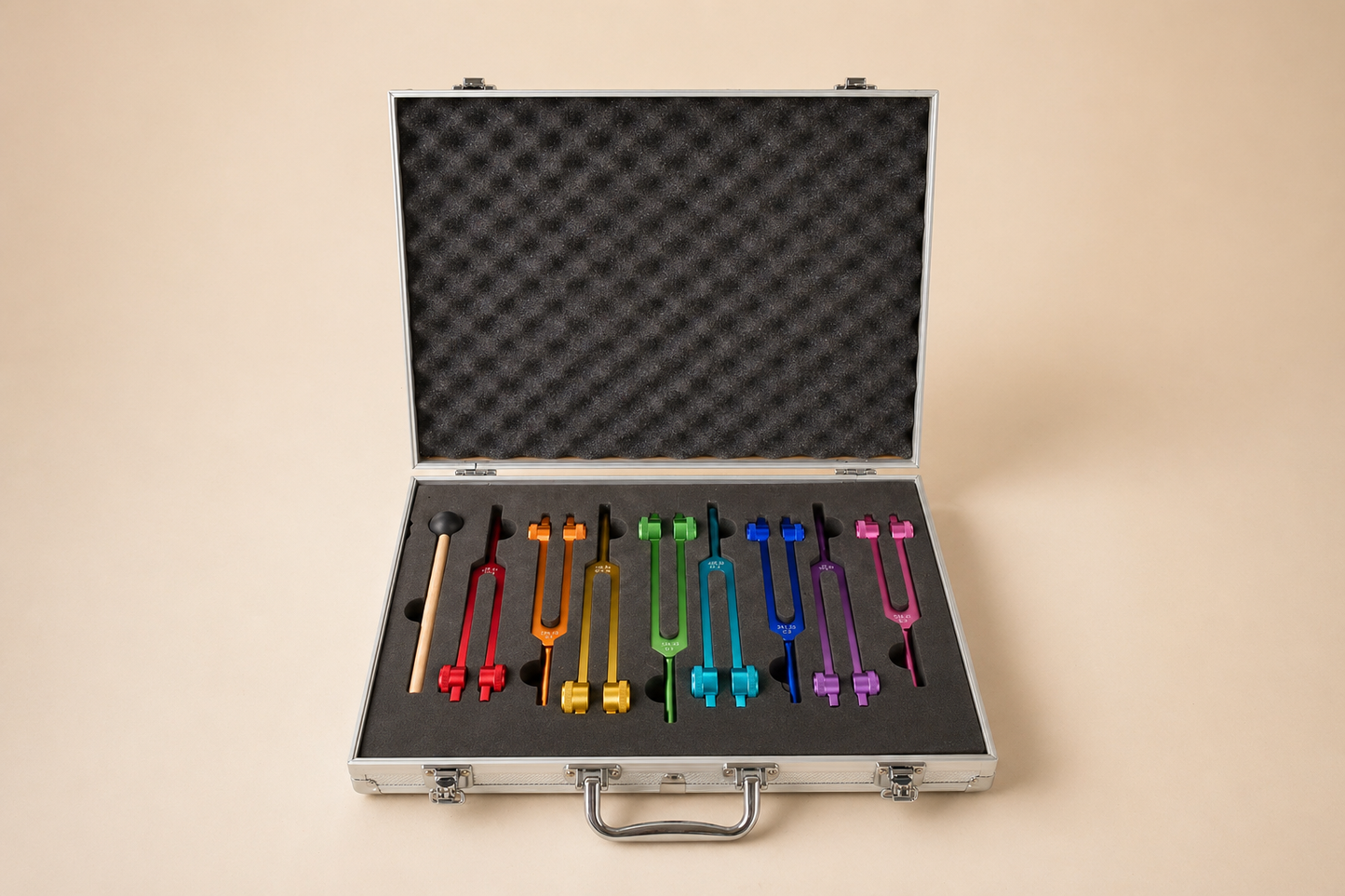 Tuning Fork Set with Carrying Case